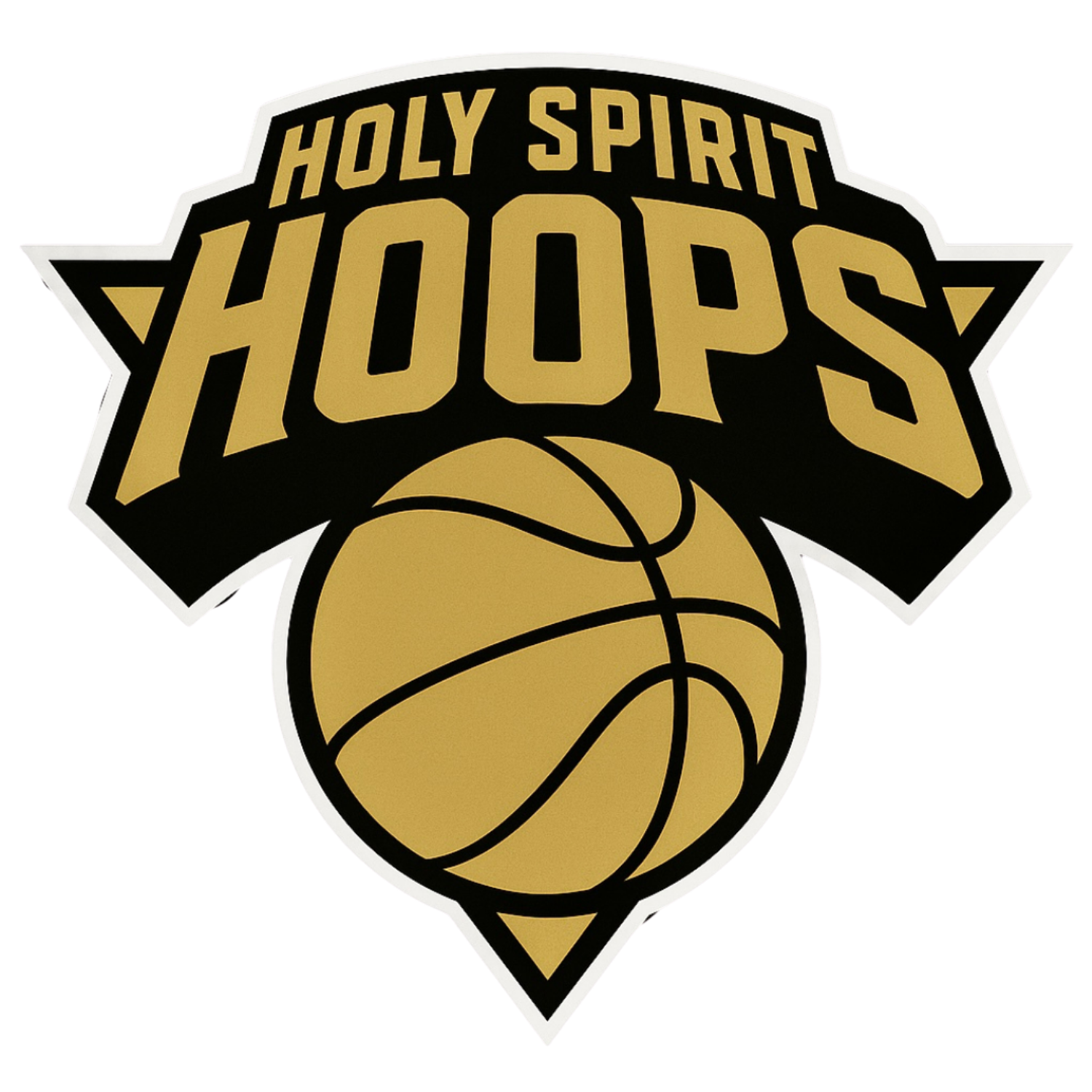 Holy Spirit Hoops logo